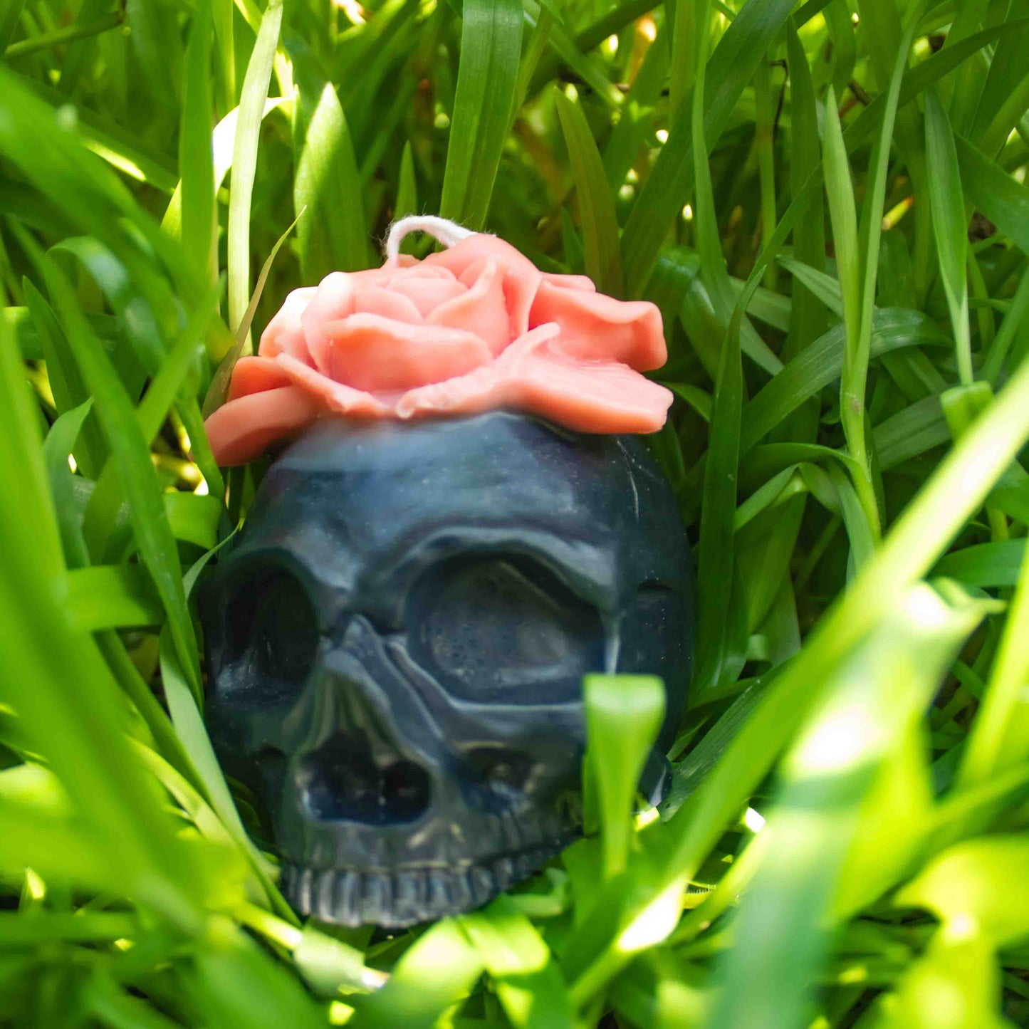 Black skull-shaped object with a pink rose on top in green grass
