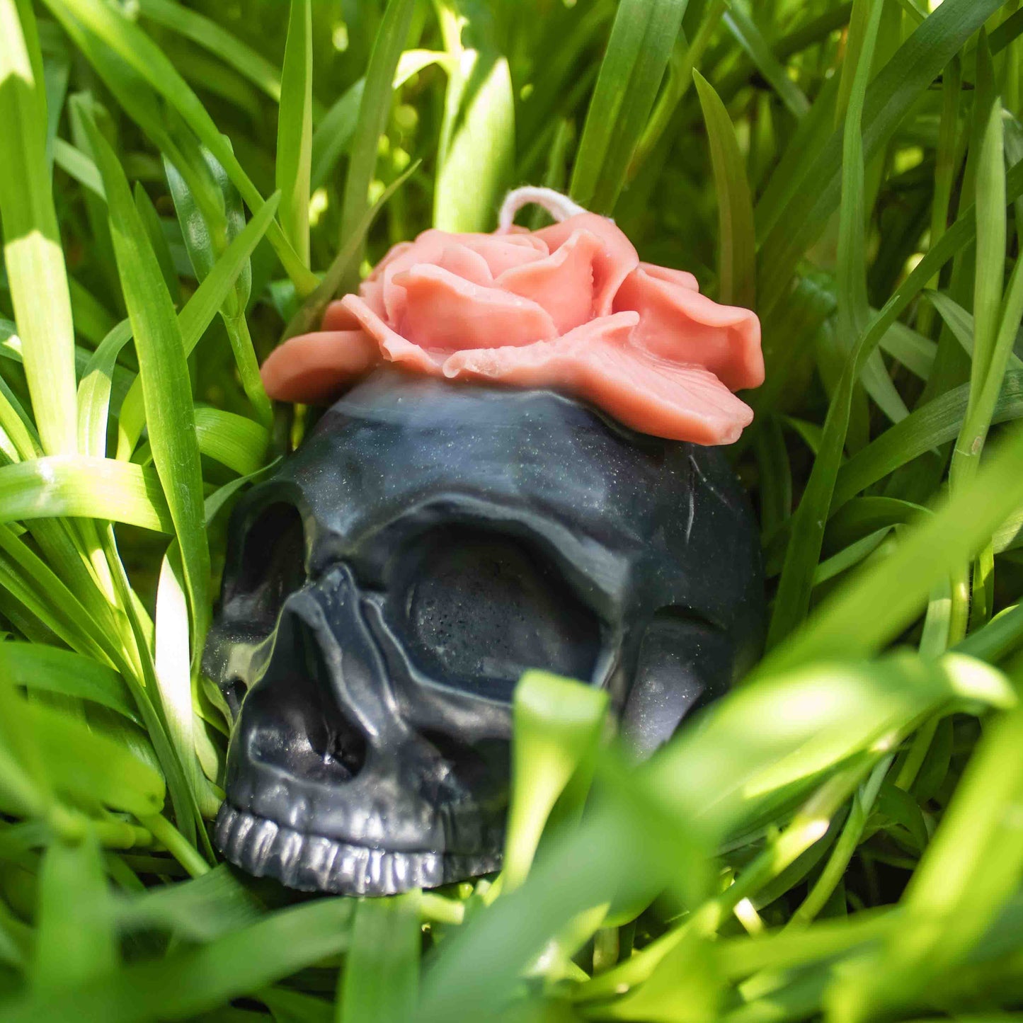 Black skull with a pink rose on grass